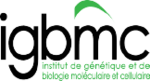 Logo IGBMC